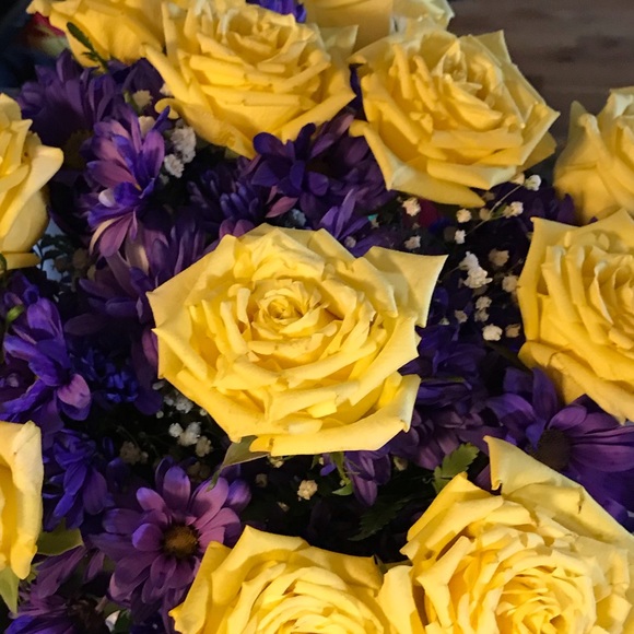 Meet your Posher, Violeta - Picture 1 of 1